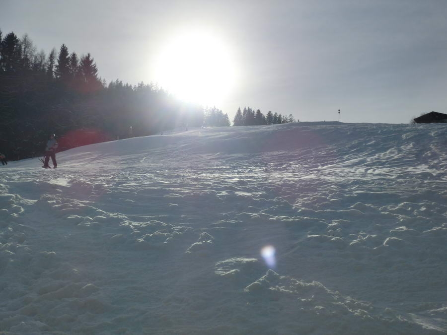 02- Dachstein, Rodeln, Geischl 073